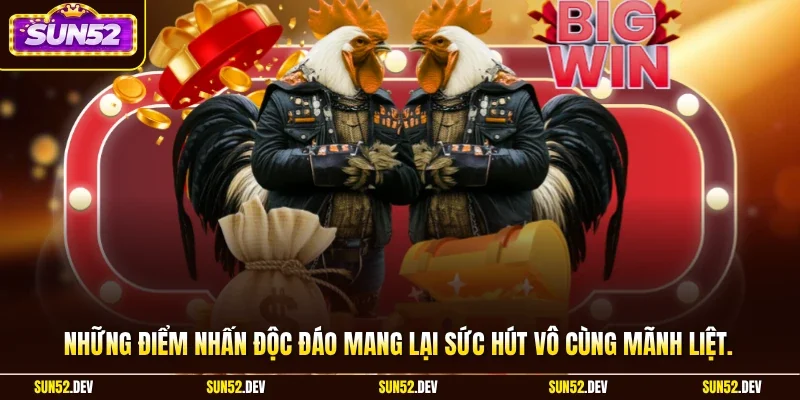 Những điểm nhấn độc đáo mang lại sức hút vô cùng mãnh liệt
