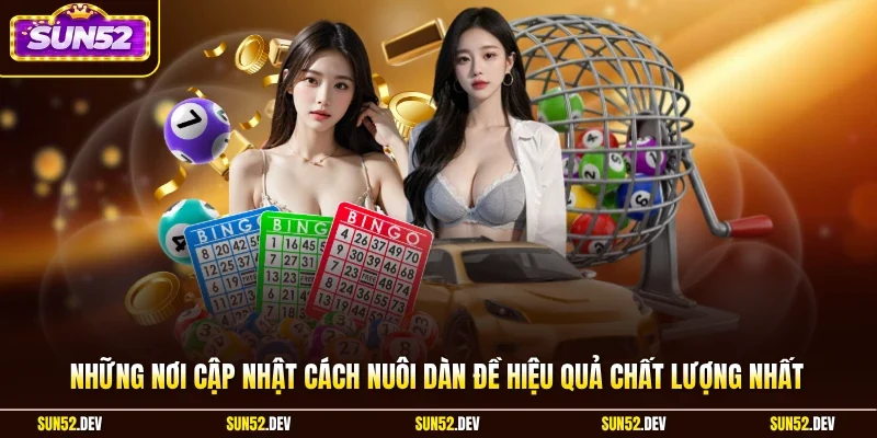 Những nơi cập nhật cách nuôi dàn đề hiệu quả chất lượng nhất 