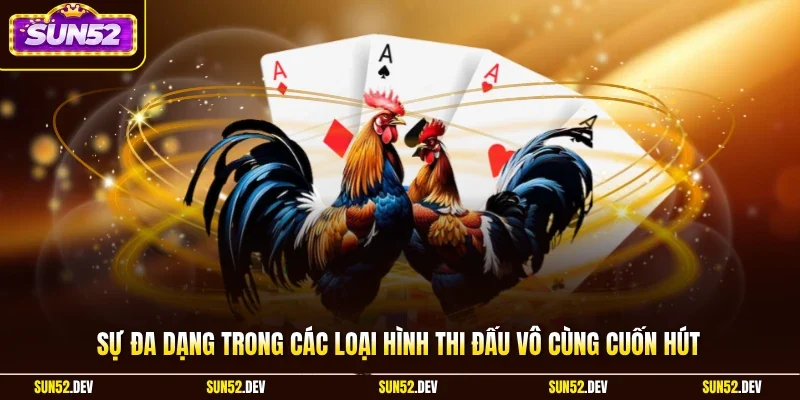 Sự đa dạng trong các loại hình thi đấu vô cùng cuốn hút